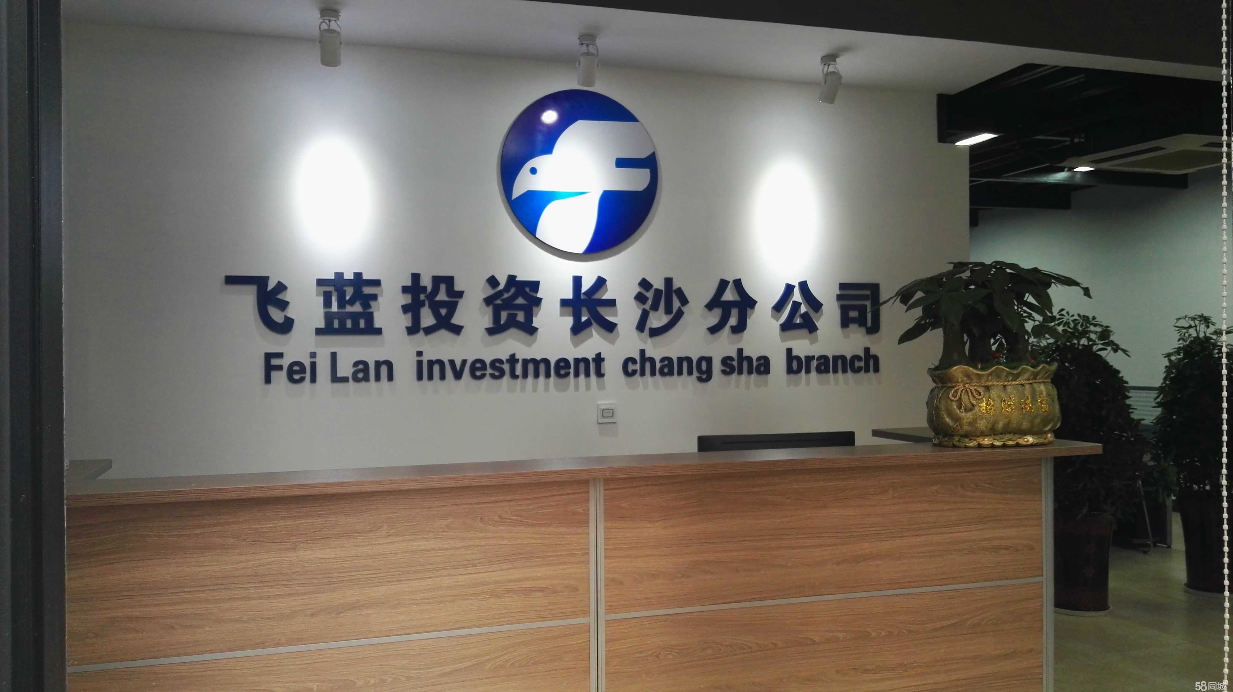 专业导航，明智投资——怀化飞蓝投资咨询的价值主张
